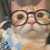 btaidaumasoiii