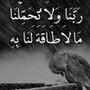 hamza47983