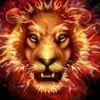 bachir.garba.imad