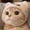 panda_9394