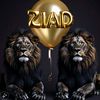 ziadwalid810