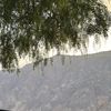 a_2zol