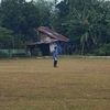 aril15274