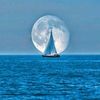 noman.albadany