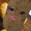 sipdah273