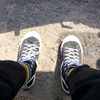 aldy28384