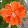 user81200921614607