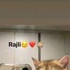 malik.mohammed421