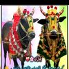 chard_asoraj