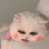 ciciiy