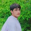 arifking282
