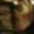 rosline_r