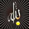 junejo2528