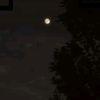 moonlight_shadow_9