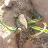 sabrina.pro.algeria