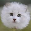 sothkful