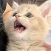 ilikekidsmehehehehhe