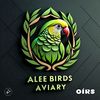 alee.birds.aviary