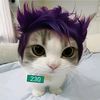 ahmad_z180