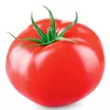 mustertomato