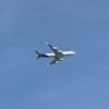 paulie_the_planespotter