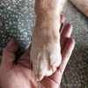 huynh.huynh454