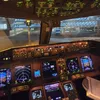 ali_b777pilot