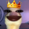 raizahermocilla