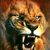 kinglionenk
