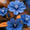 aaryan3224