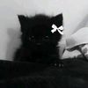 pookie.bookie004