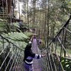 amirajihansarifah03