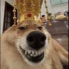 seyemeytu