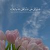 sabri62222