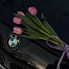 az_ya08