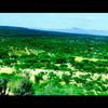 hamdi.abdi63
