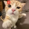 _zweifunf