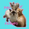 Pao and Friends