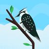 alishba.shahbaz33