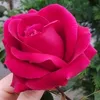 fsbehkdo3ee