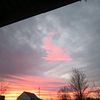 daniela.ungureanu287