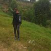 user4275959404584