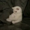 qkhanhh_04