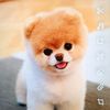 annie35943