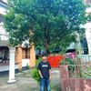 sk.rimon81726