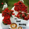 samira86553