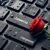 jawiiii31