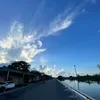 tangmuoi9