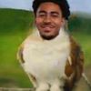 thenascar_owl3
