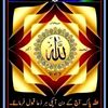 user4863329677168